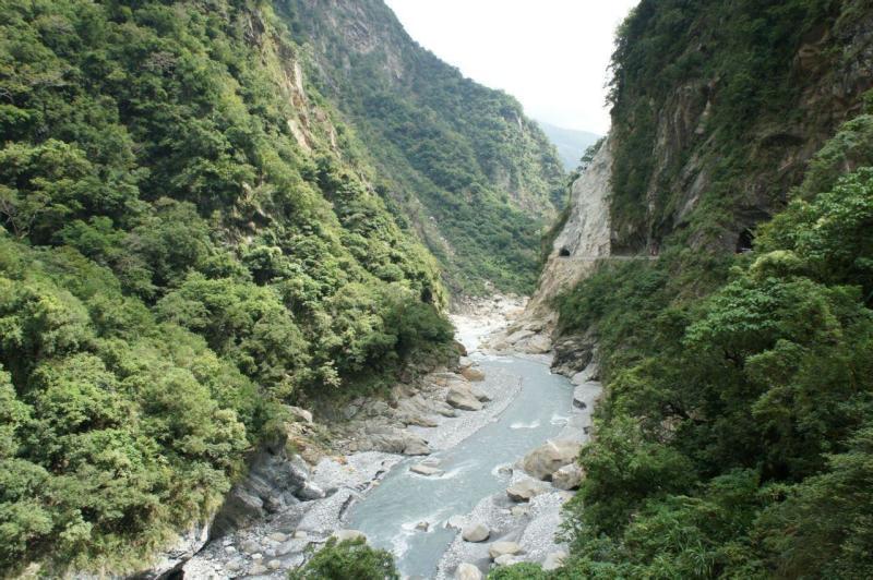 奇点灰烬